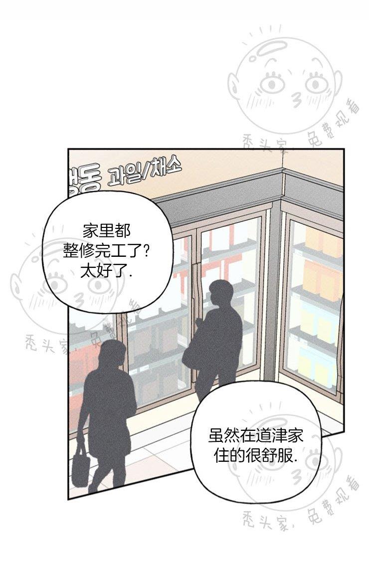 天使密友/天使拍档[耽美]韩漫全集-第42话无删减无遮挡章节图片 