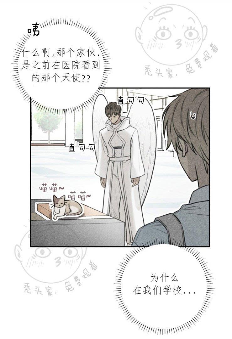天使密友/天使拍档[耽美]韩漫全集-第43话无删减无遮挡章节图片 