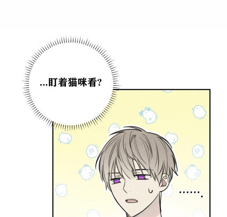 天使密友/天使拍档[耽美]韩漫全集-第43话无删减无遮挡章节图片 