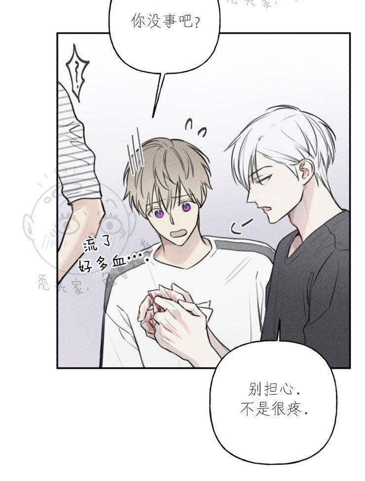 天使密友/天使拍档[耽美]韩漫全集-第43话无删减无遮挡章节图片 