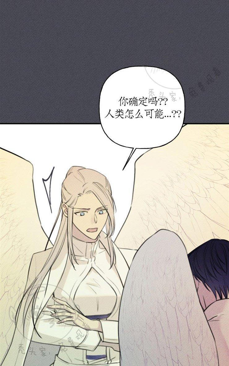 天使密友/天使拍档[耽美]韩漫全集-第44话无删减无遮挡章节图片 