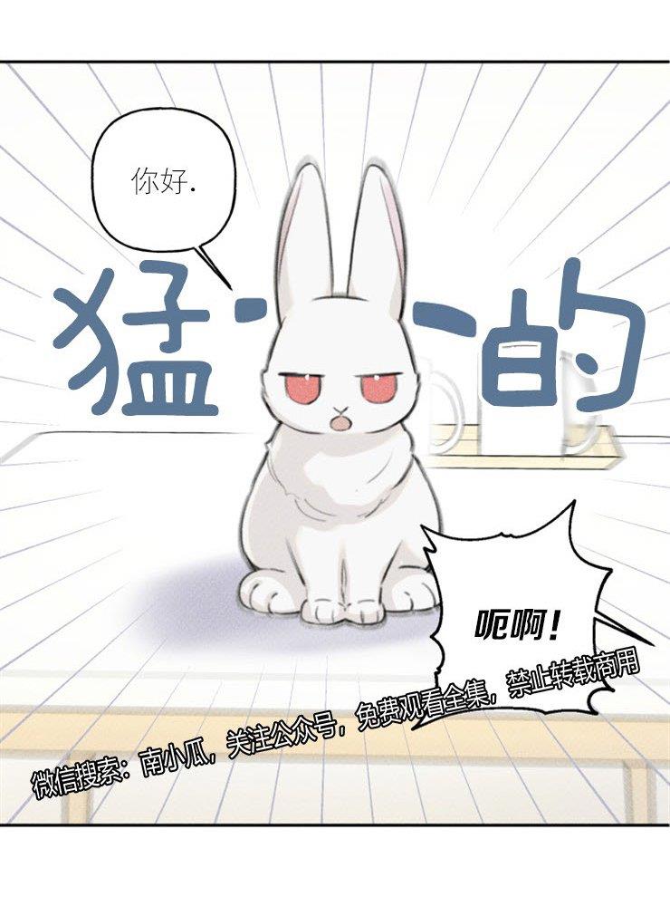 天使密友/天使拍档[耽美]韩漫全集-第45话无删减无遮挡章节图片 