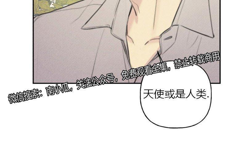 天使密友/天使拍档[耽美]韩漫全集-第46话无删减无遮挡章节图片 