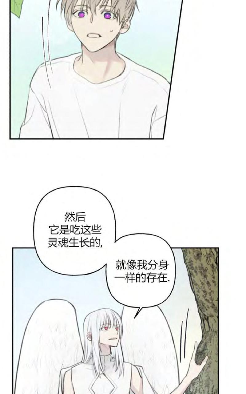 天使密友/天使拍档[耽美]韩漫全集-第47话无删减无遮挡章节图片 