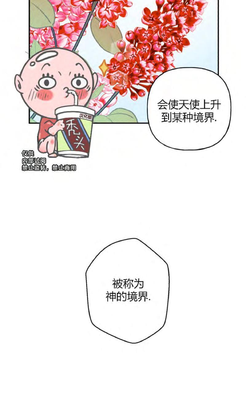 天使密友/天使拍档[耽美]韩漫全集-第47话无删减无遮挡章节图片 