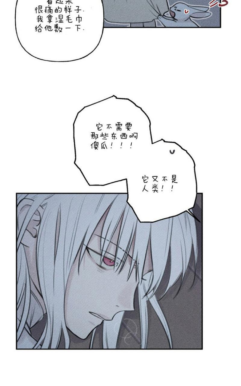 天使密友/天使拍档[耽美]韩漫全集-第49话无删减无遮挡章节图片 