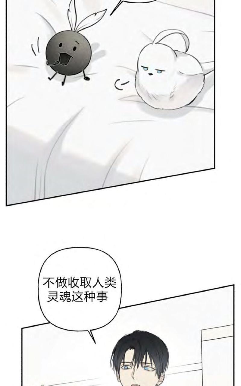 天使密友/天使拍档[耽美]韩漫全集-第51话无删减无遮挡章节图片 