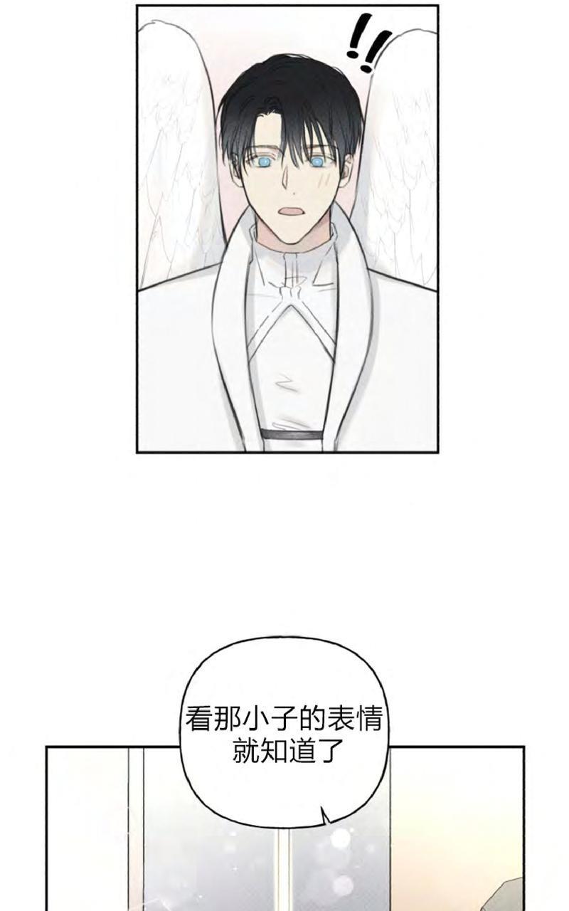天使密友/天使拍档[耽美]韩漫全集-第51话无删减无遮挡章节图片 