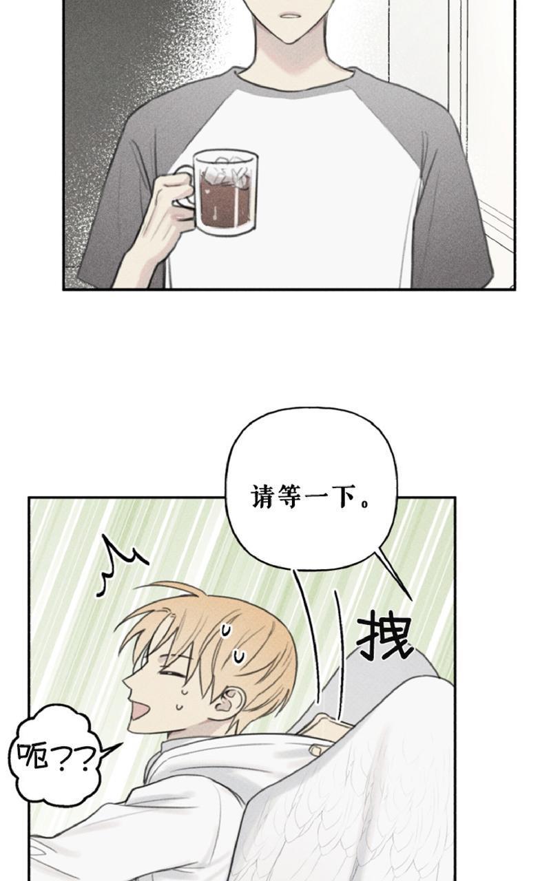 天使密友/天使拍档[耽美]韩漫全集-第52话无删减无遮挡章节图片 