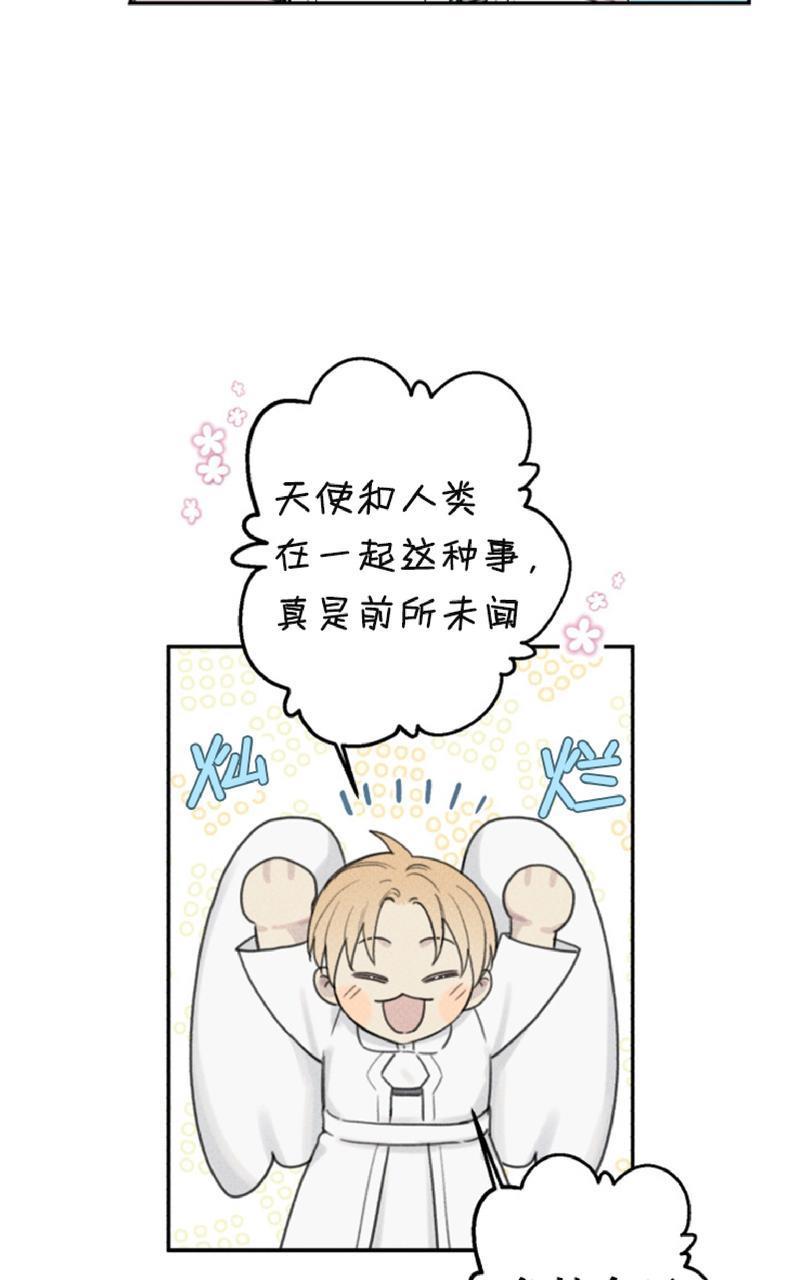 天使密友/天使拍档[耽美]韩漫全集-第52话无删减无遮挡章节图片 