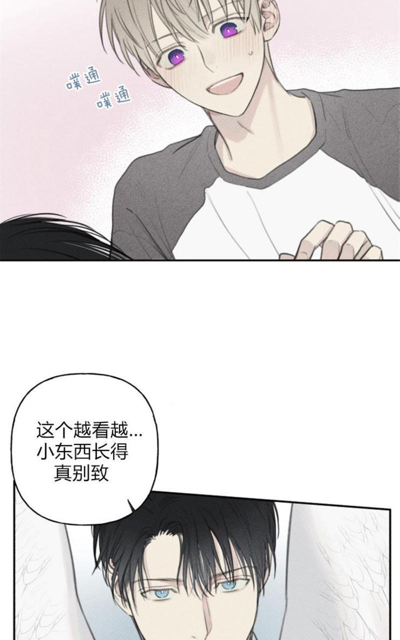 天使密友/天使拍档[耽美]韩漫全集-第53话无删减无遮挡章节图片 