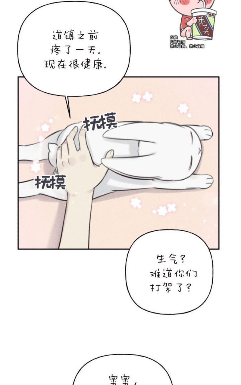 天使密友/天使拍档[耽美]韩漫全集-第54话无删减无遮挡章节图片 