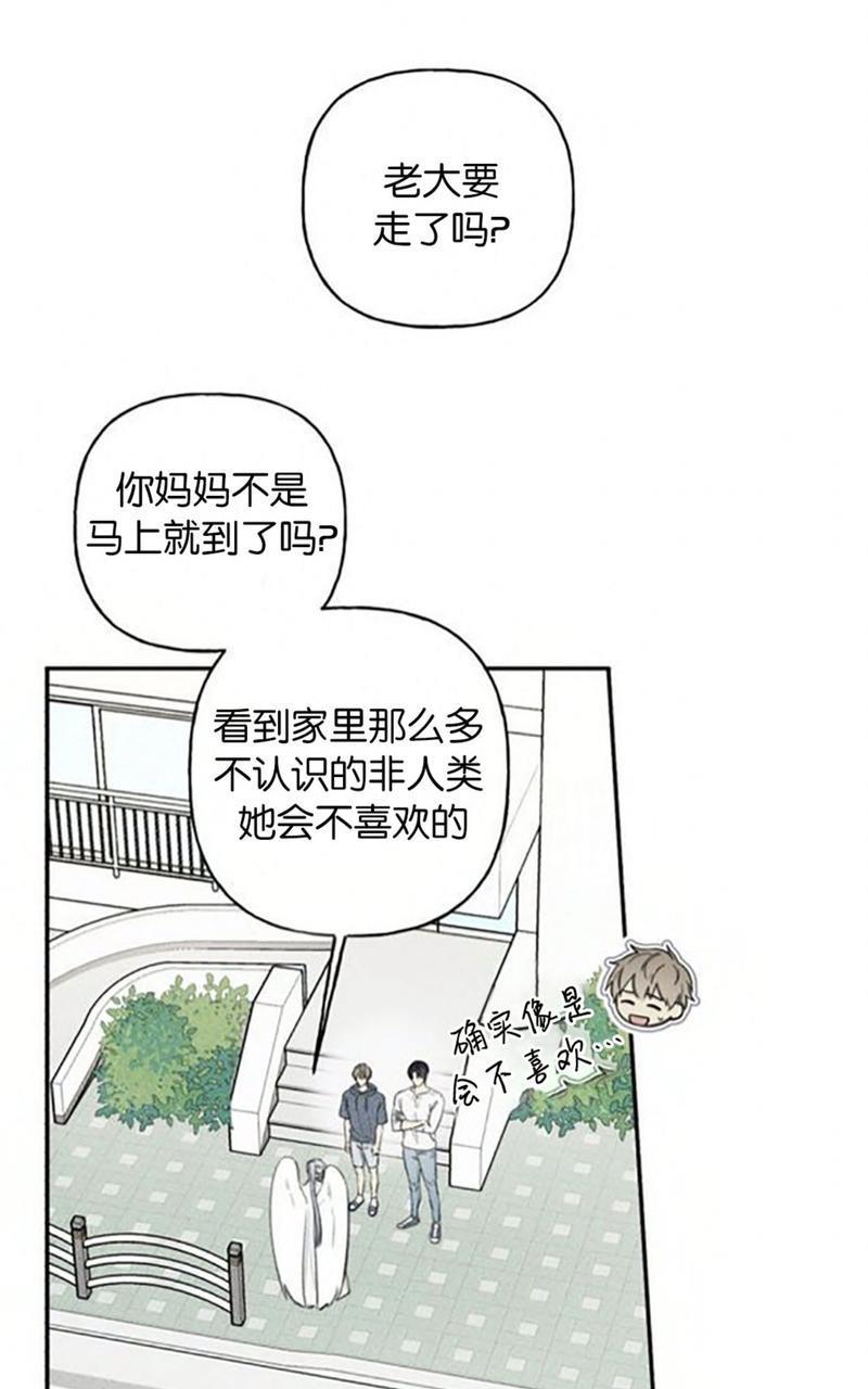 天使密友/天使拍档[耽美]韩漫全集-第56话无删减无遮挡章节图片 