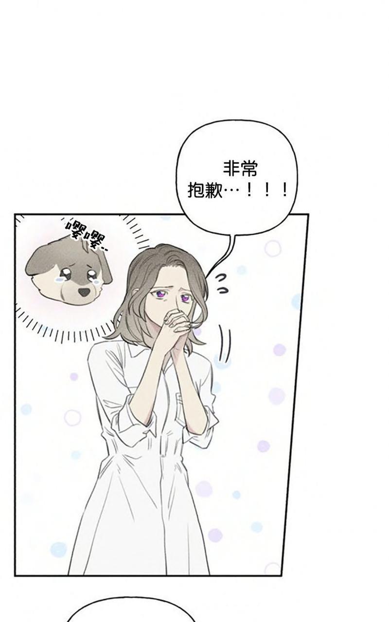 天使密友/天使拍档[耽美]韩漫全集-第56话无删减无遮挡章节图片 