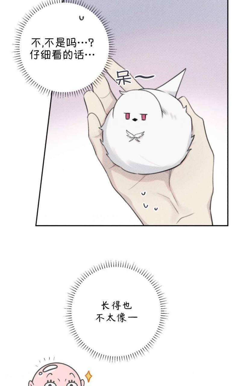 天使密友/天使拍档[耽美]韩漫全集-第61话无删减无遮挡章节图片 