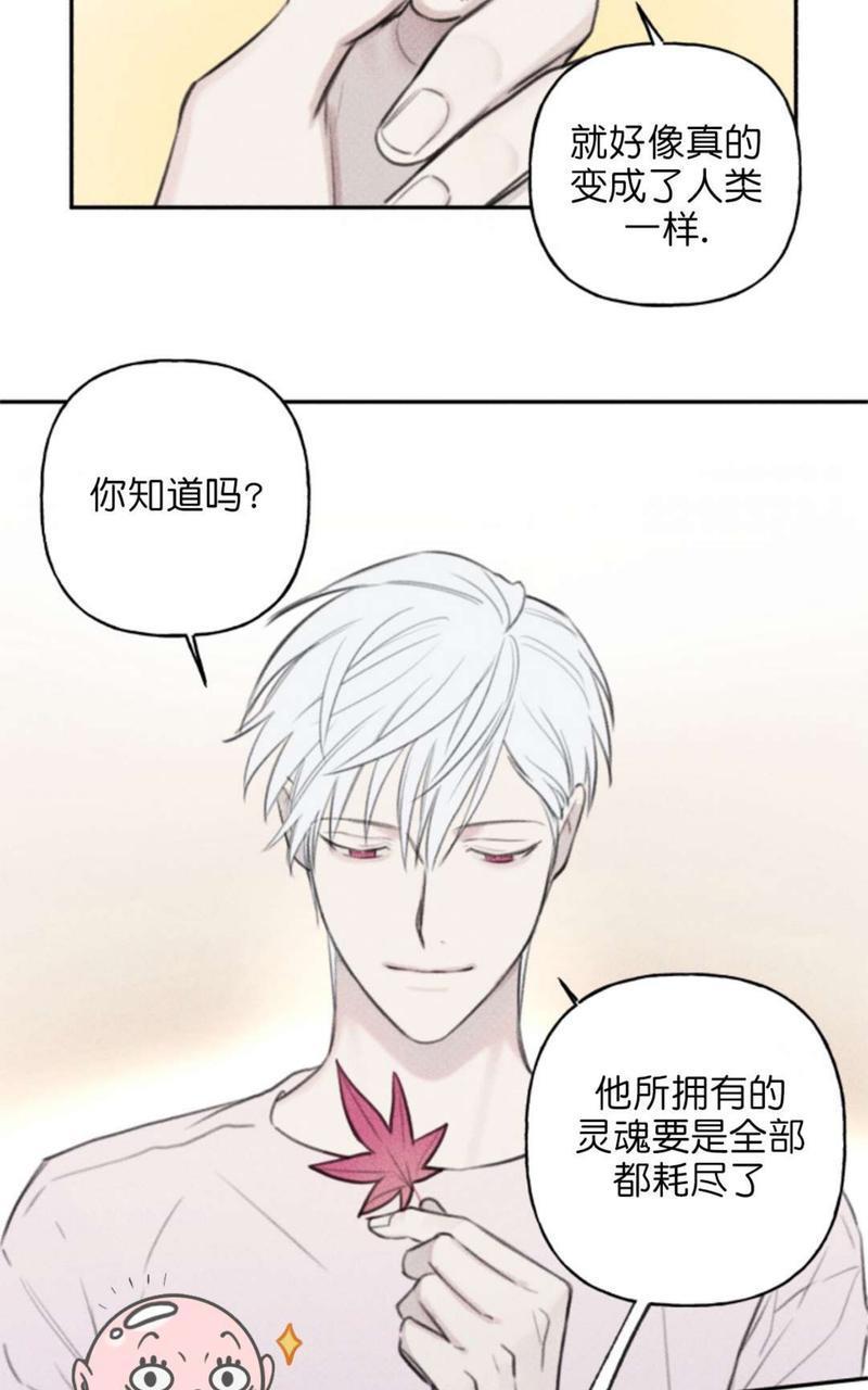 天使密友/天使拍档[耽美]韩漫全集-第61话无删减无遮挡章节图片 
