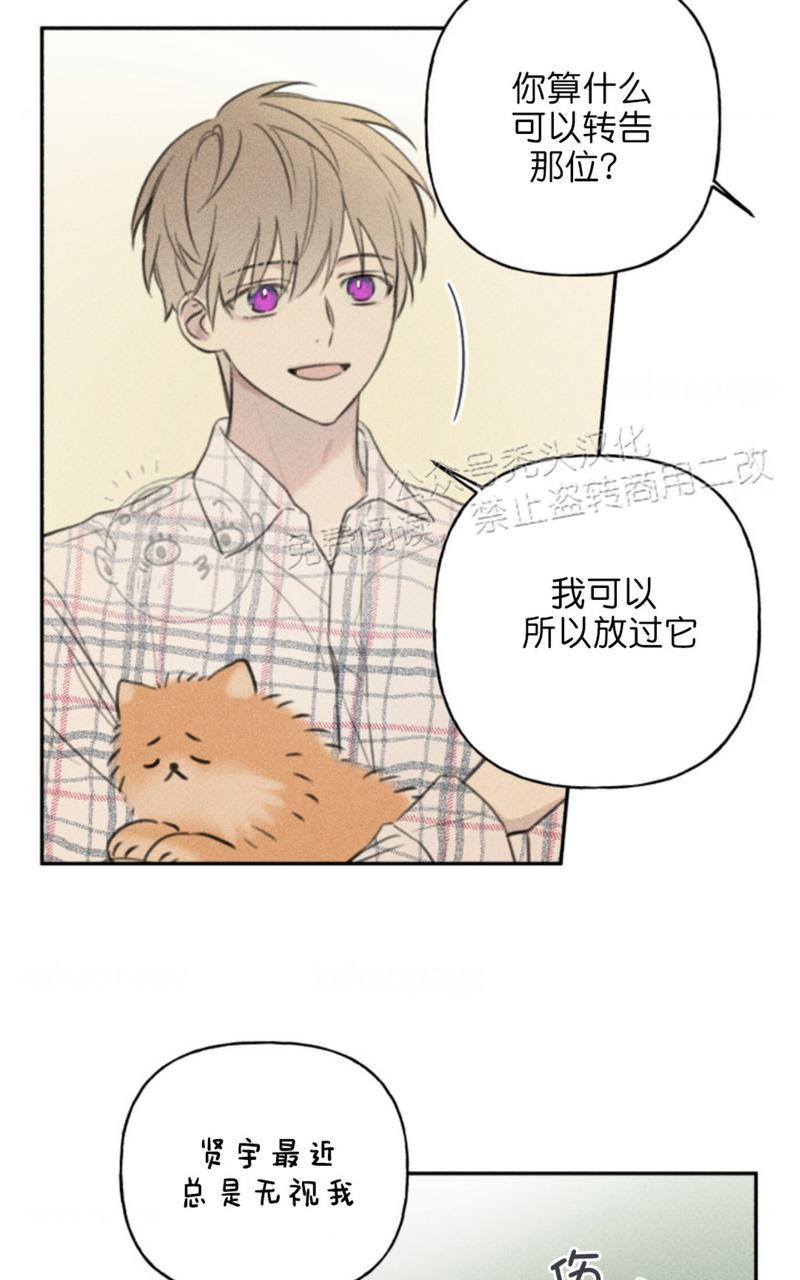 天使密友/天使拍档[耽美]韩漫全集-第65话无删减无遮挡章节图片 