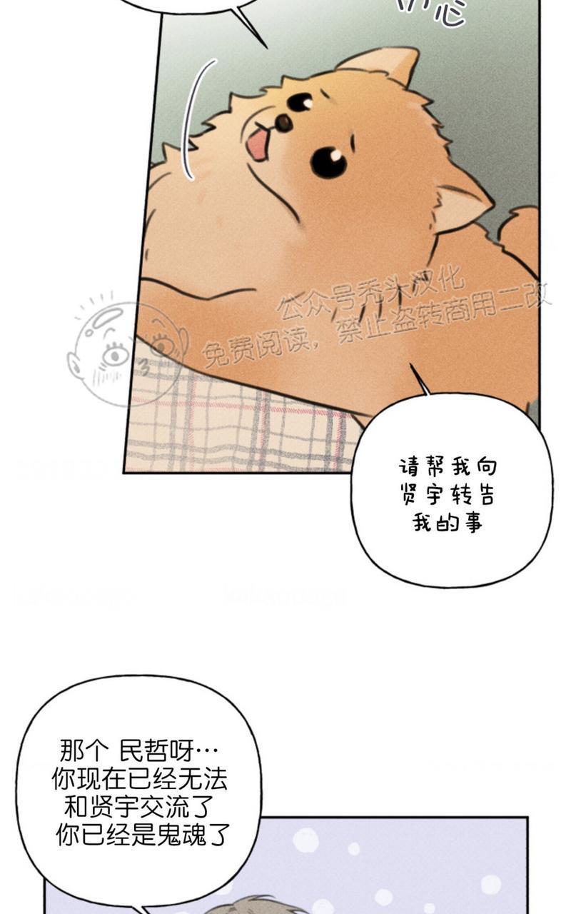 天使密友/天使拍档[耽美]韩漫全集-第65话无删减无遮挡章节图片 
