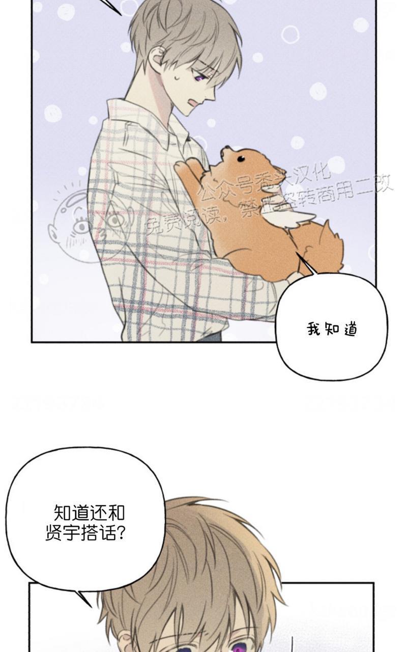 天使密友/天使拍档[耽美]韩漫全集-第65话无删减无遮挡章节图片 