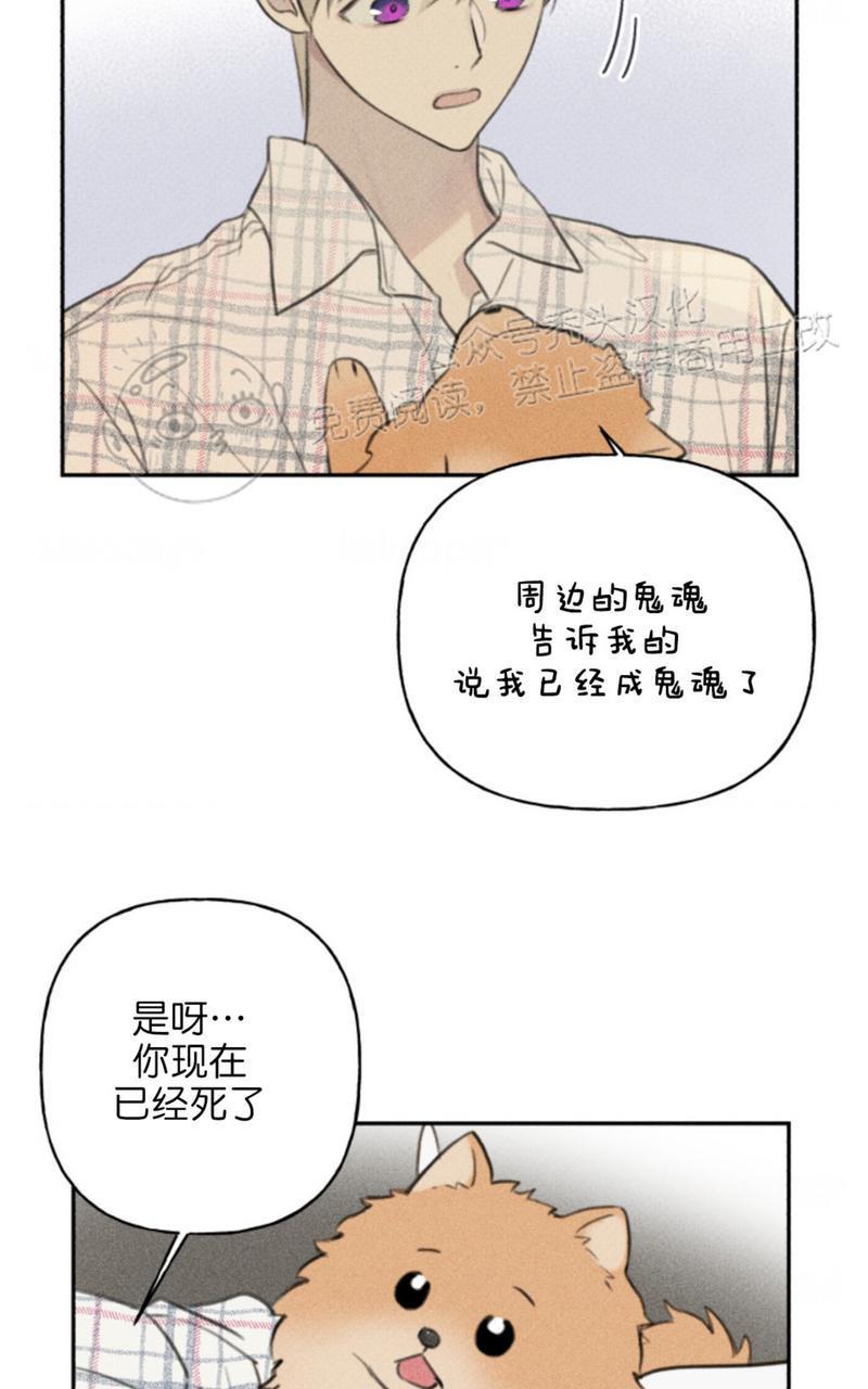 天使密友/天使拍档[耽美]韩漫全集-第65话无删减无遮挡章节图片 