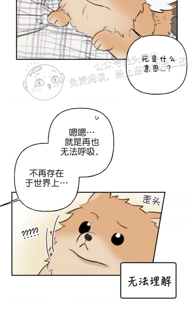 天使密友/天使拍档[耽美]韩漫全集-第65话无删减无遮挡章节图片 