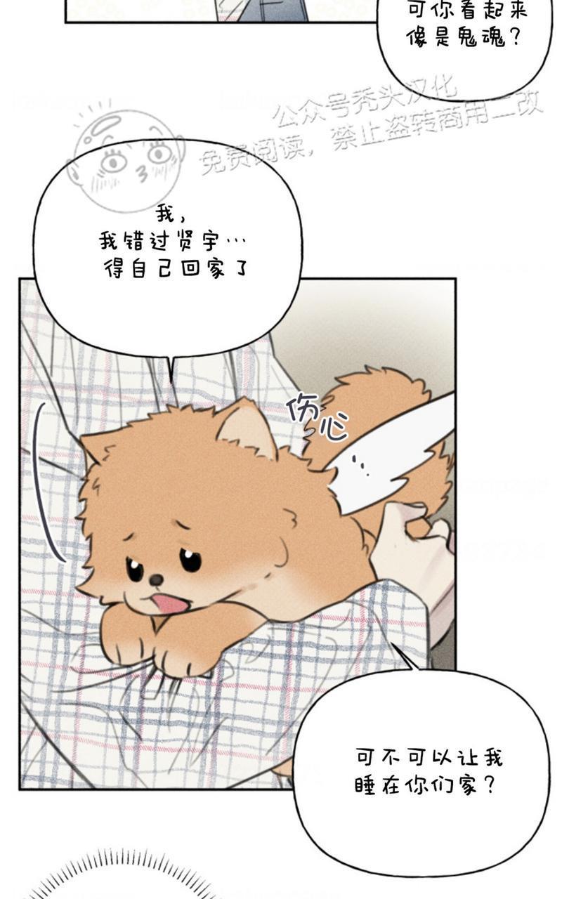 天使密友/天使拍档[耽美]韩漫全集-第65话无删减无遮挡章节图片 
