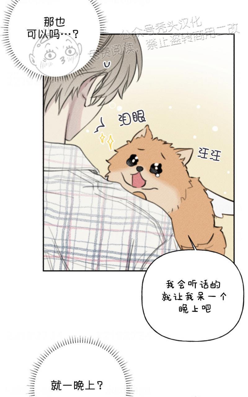 天使密友/天使拍档[耽美]韩漫全集-第65话无删减无遮挡章节图片 