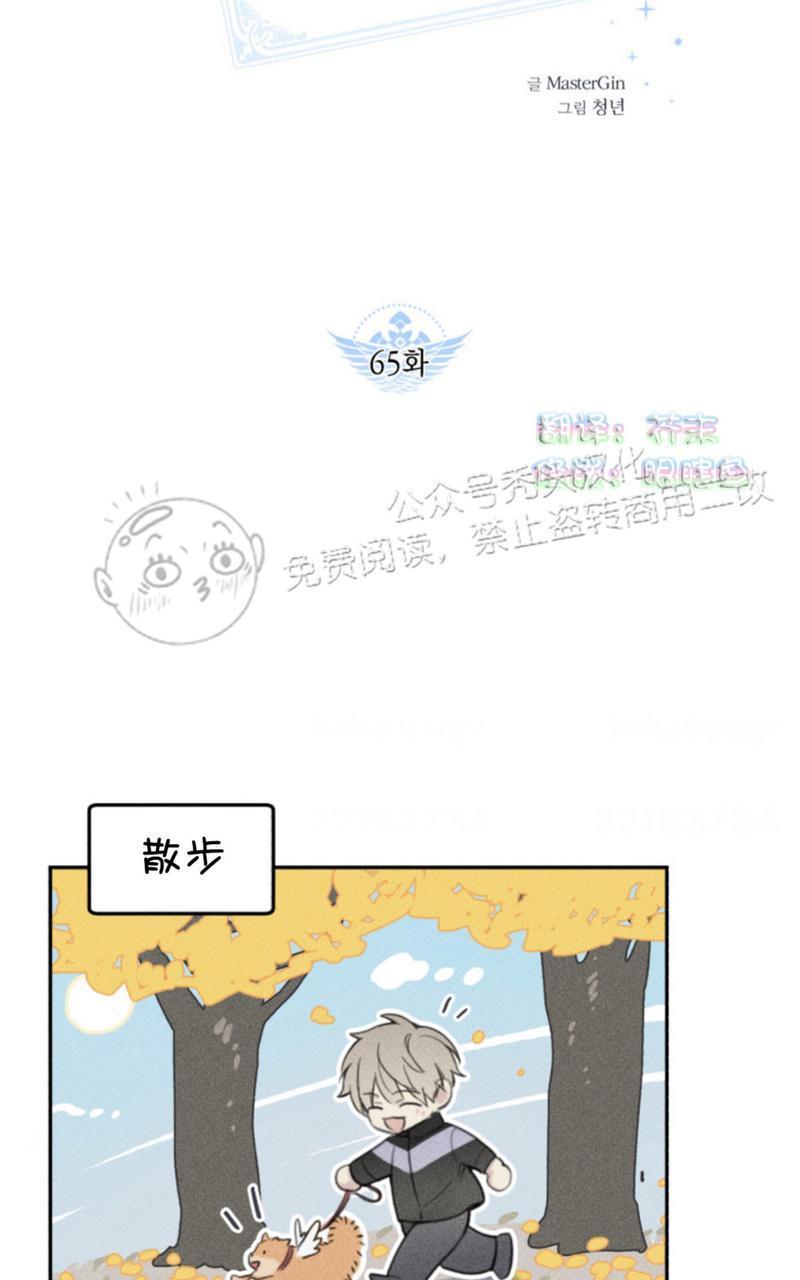 天使密友/天使拍档[耽美]韩漫全集-第65话无删减无遮挡章节图片 
