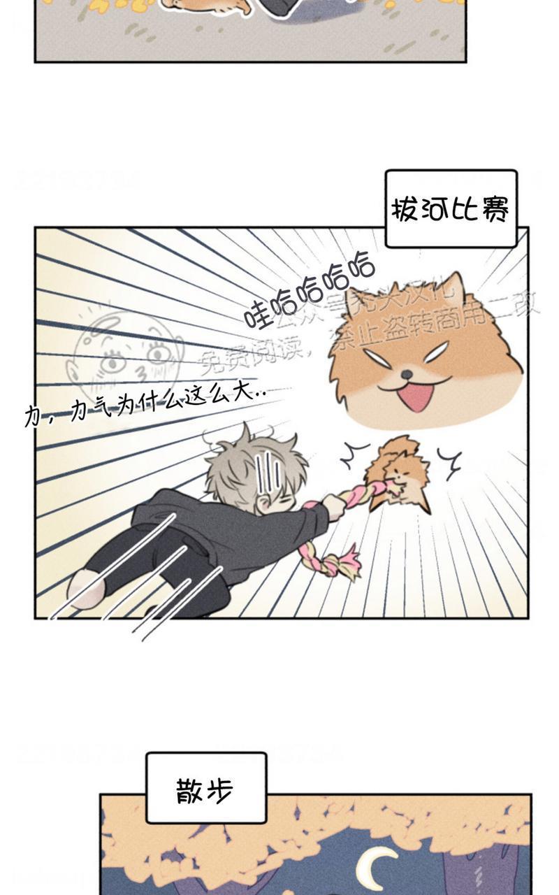 天使密友/天使拍档[耽美]韩漫全集-第65话无删减无遮挡章节图片 