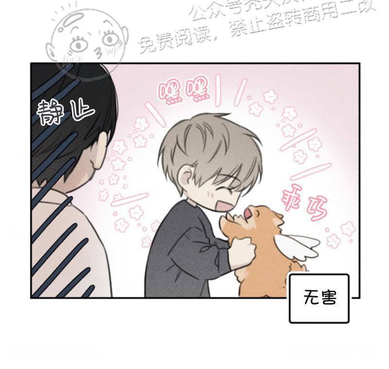 天使密友/天使拍档[耽美]韩漫全集-第65话无删减无遮挡章节图片 
