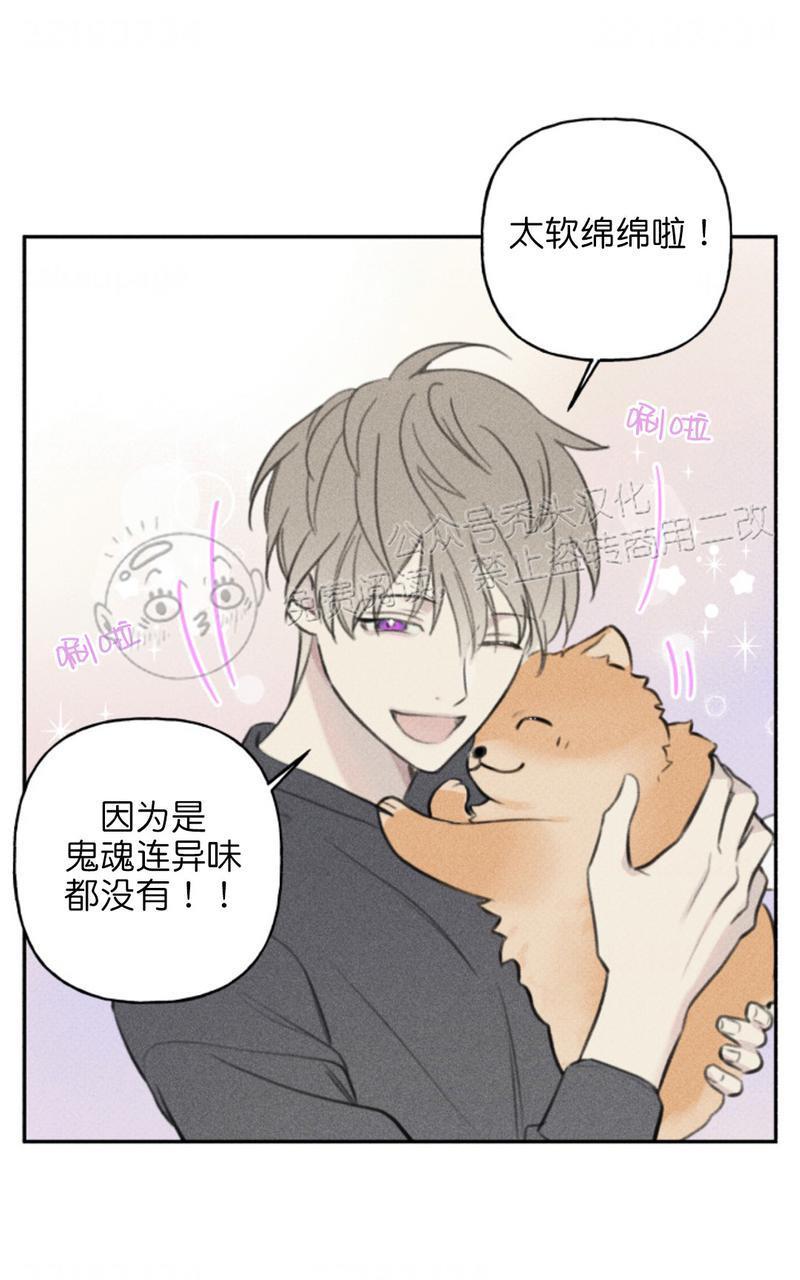 天使密友/天使拍档[耽美]韩漫全集-第65话无删减无遮挡章节图片 