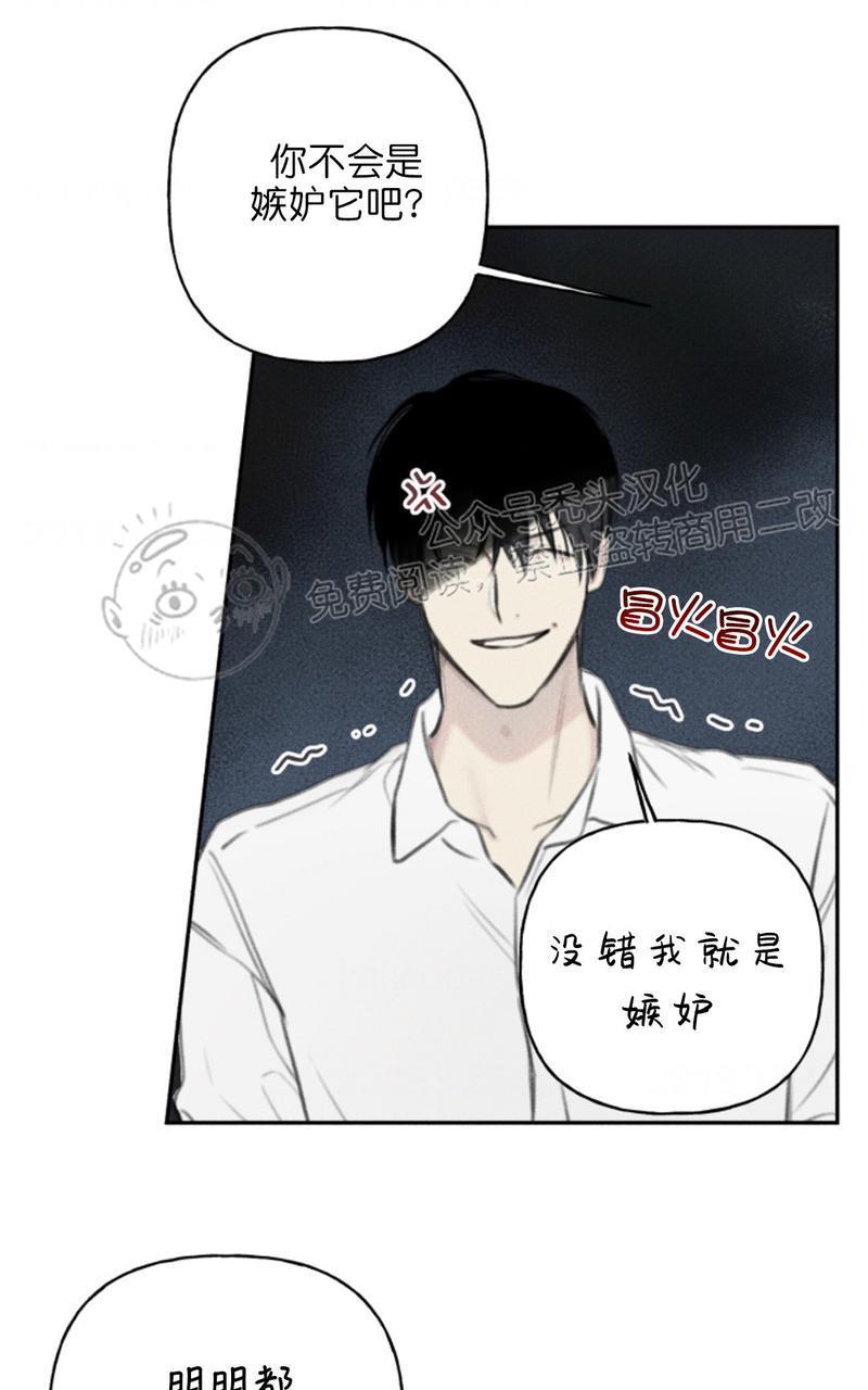 天使密友/天使拍档[耽美]韩漫全集-第65话无删减无遮挡章节图片 