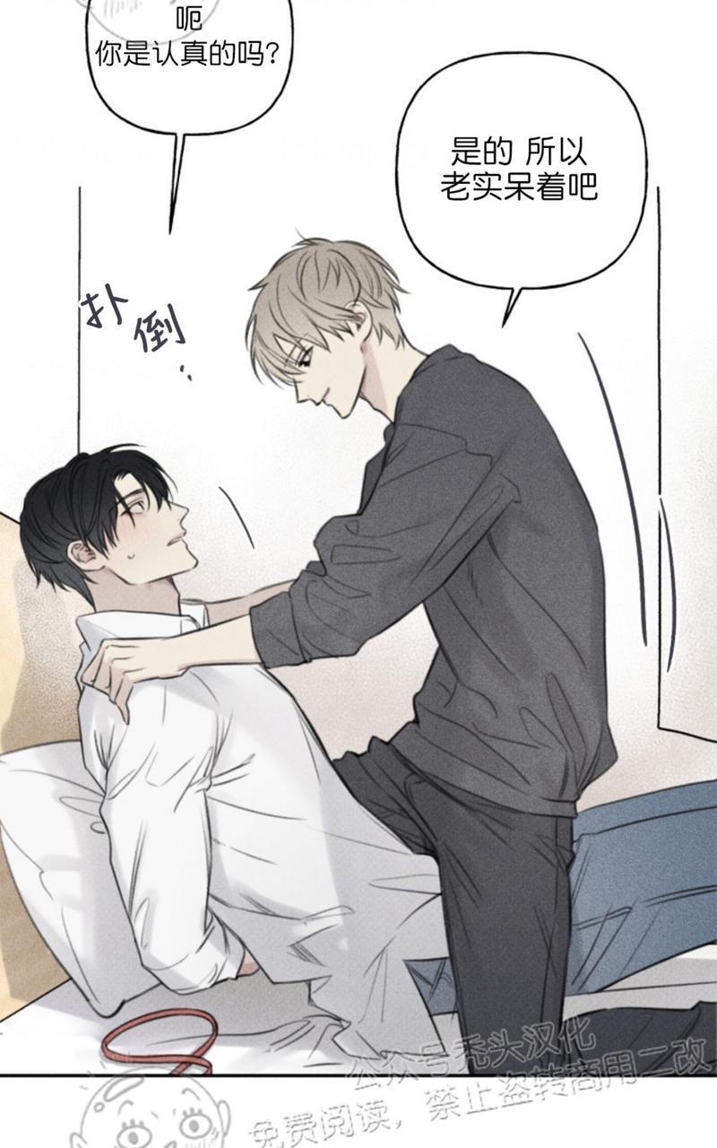 天使密友/天使拍档[耽美]韩漫全集-第66话无删减无遮挡章节图片 