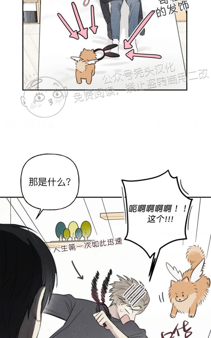 天使密友/天使拍档[耽美]韩漫全集-第66话无删减无遮挡章节图片 