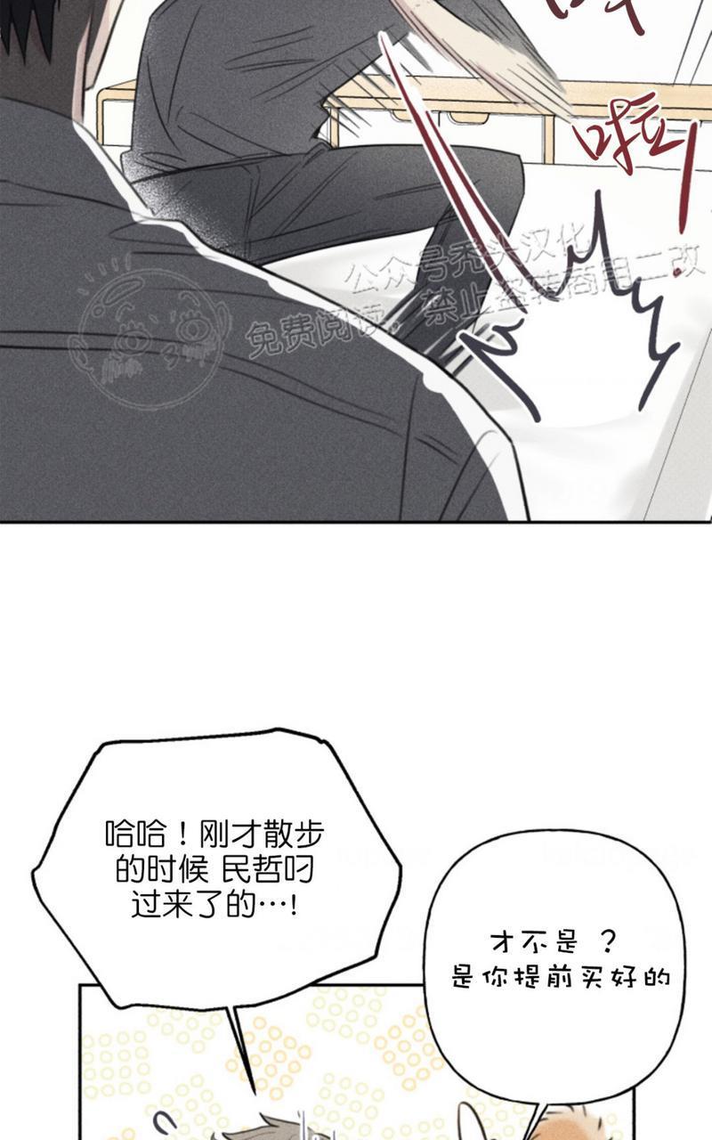 天使密友/天使拍档[耽美]韩漫全集-第66话无删减无遮挡章节图片 