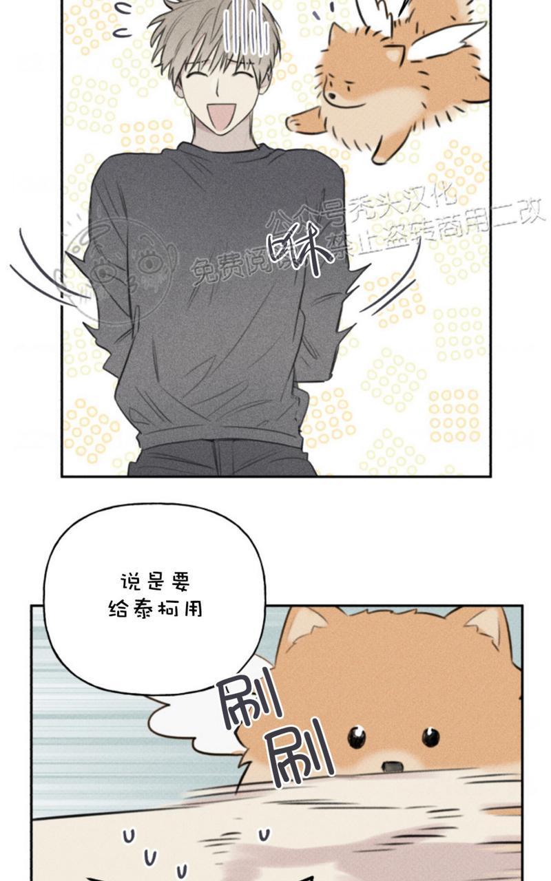 天使密友/天使拍档[耽美]韩漫全集-第66话无删减无遮挡章节图片 