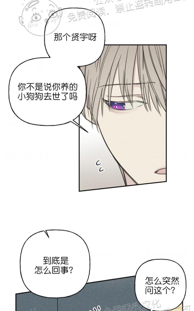 天使密友/天使拍档[耽美]韩漫全集-第67话无删减无遮挡章节图片 