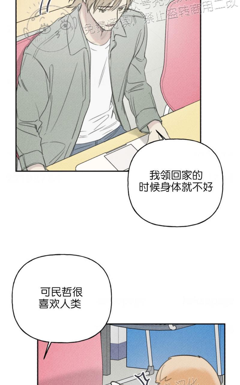 天使密友/天使拍档[耽美]韩漫全集-第67话无删减无遮挡章节图片 