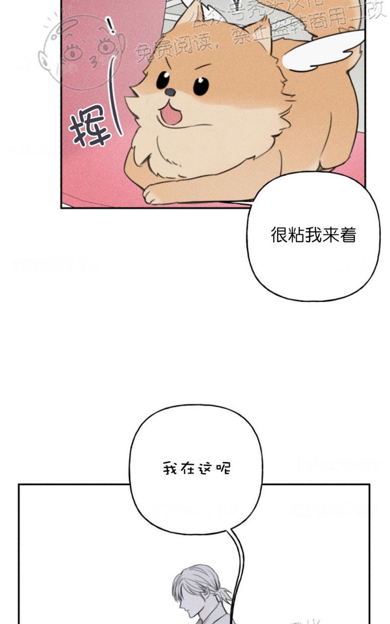 天使密友/天使拍档[耽美]韩漫全集-第67话无删减无遮挡章节图片 