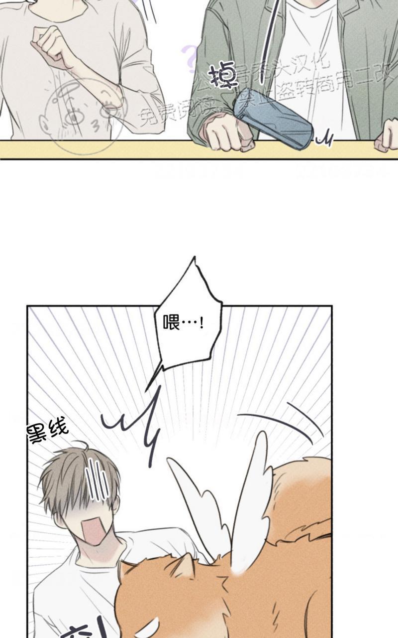 天使密友/天使拍档[耽美]韩漫全集-第67话无删减无遮挡章节图片 