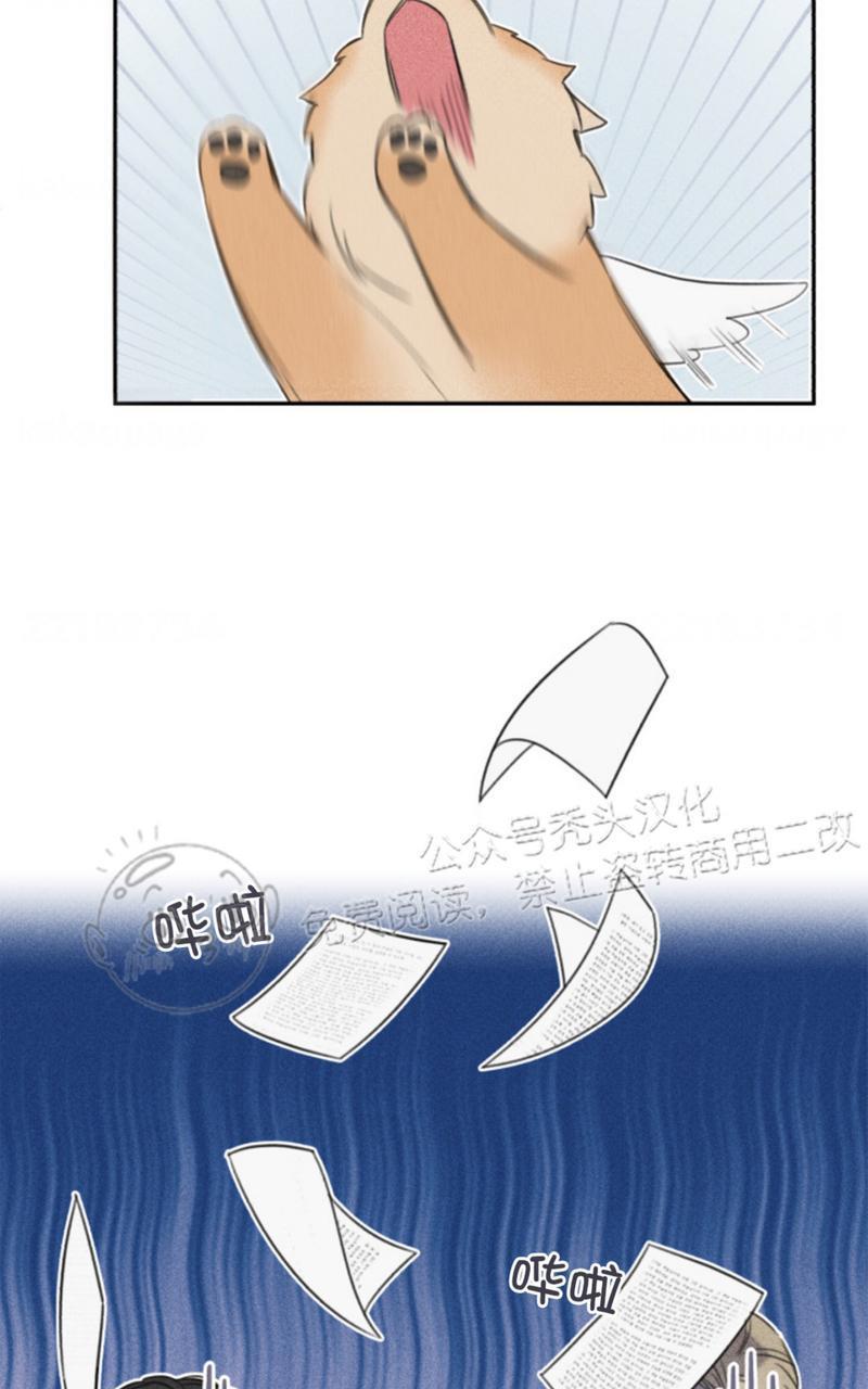 天使密友/天使拍档[耽美]韩漫全集-第67话无删减无遮挡章节图片 