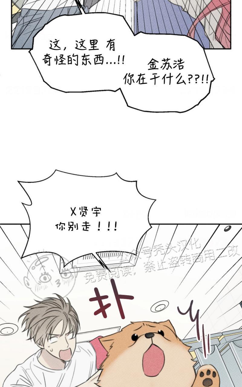 天使密友/天使拍档[耽美]韩漫全集-第67话无删减无遮挡章节图片 