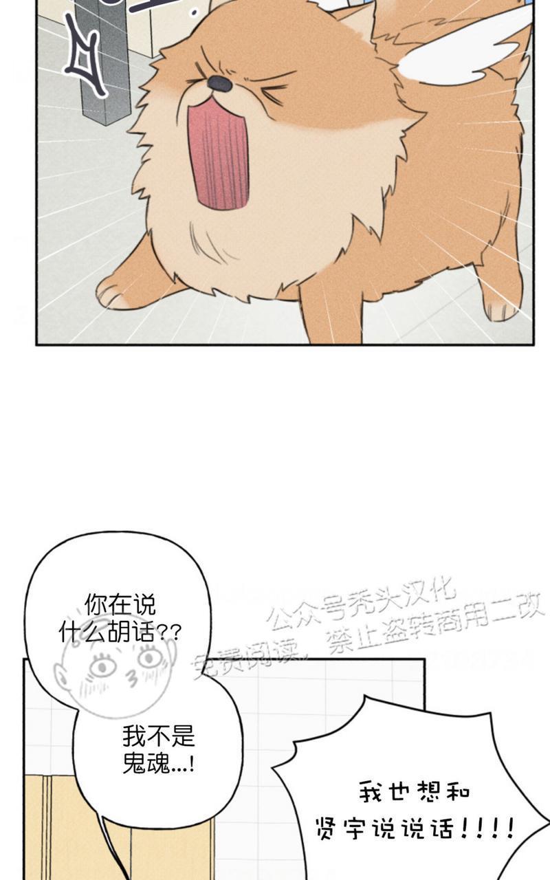 天使密友/天使拍档[耽美]韩漫全集-第67话无删减无遮挡章节图片 