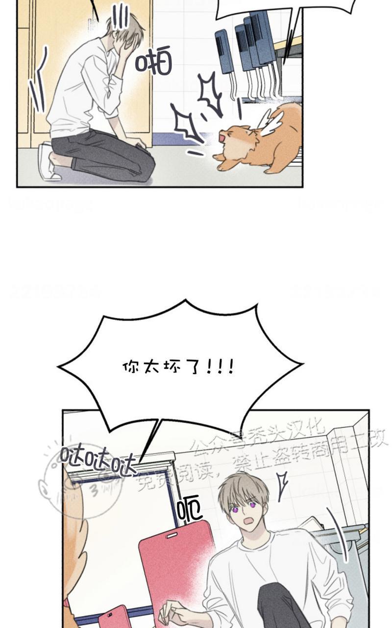 天使密友/天使拍档[耽美]韩漫全集-第67话无删减无遮挡章节图片 