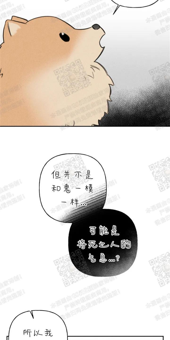 天使密友/天使拍档[耽美]韩漫全集-第68话无删减无遮挡章节图片 