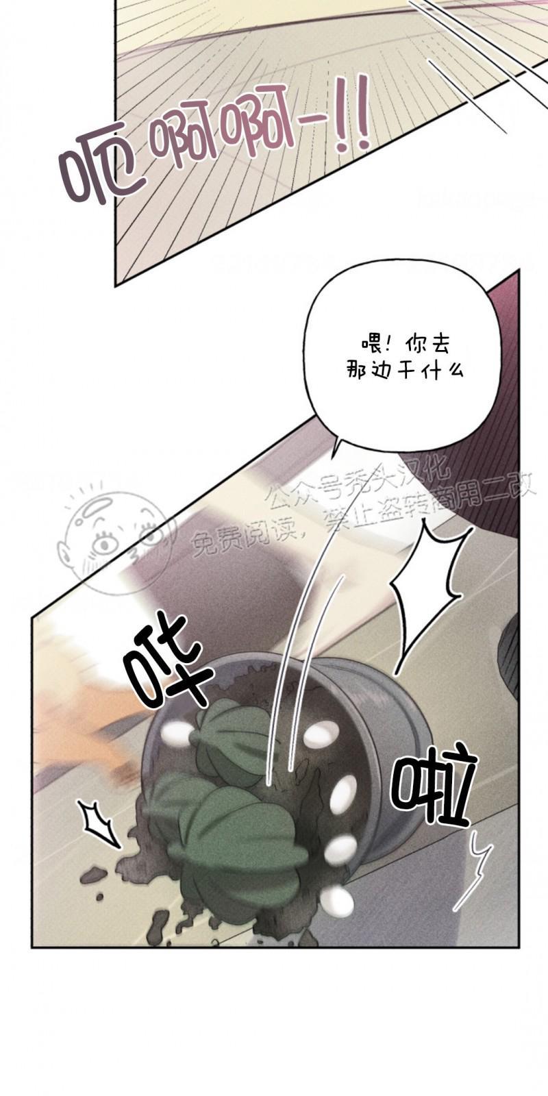 天使密友/天使拍档[耽美]韩漫全集-第69话无删减无遮挡章节图片 