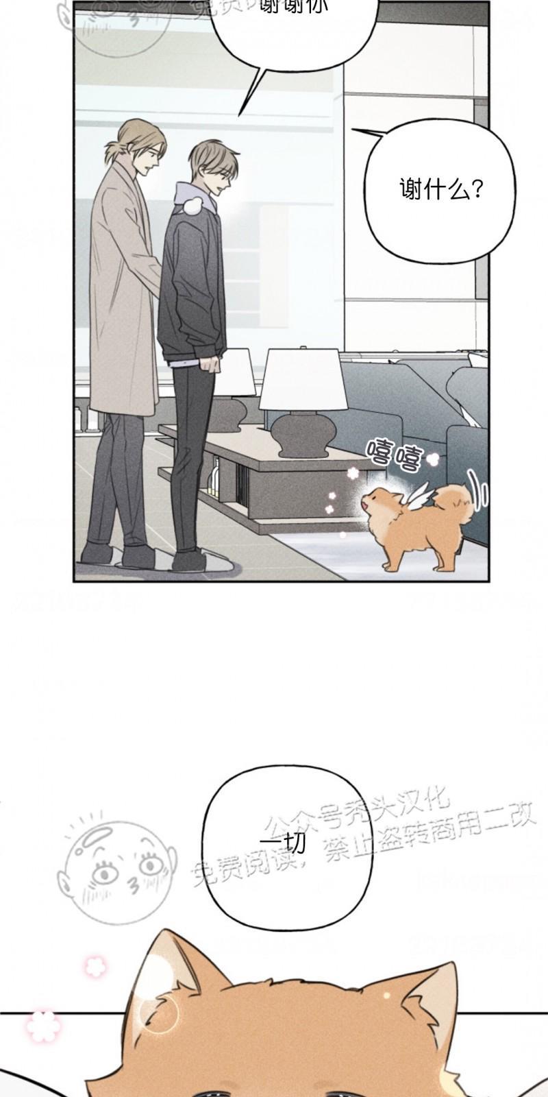 天使密友/天使拍档[耽美]韩漫全集-第69话无删减无遮挡章节图片 