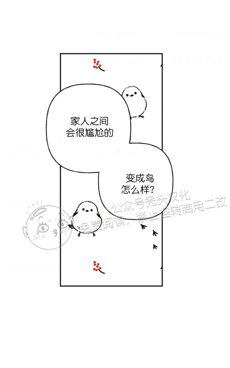 天使密友/天使拍档[耽美]韩漫全集-第72话无删减无遮挡章节图片 