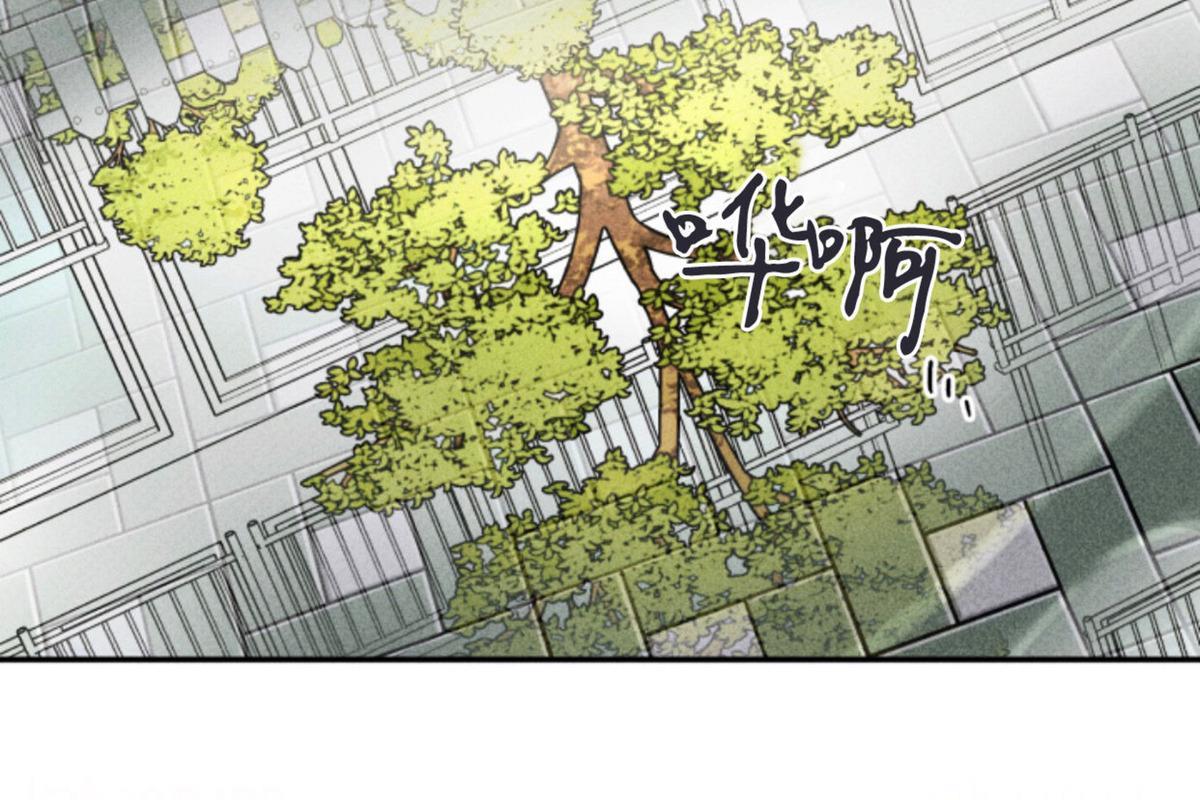 天使密友/天使拍档[耽美]韩漫全集-第75话无删减无遮挡章节图片 