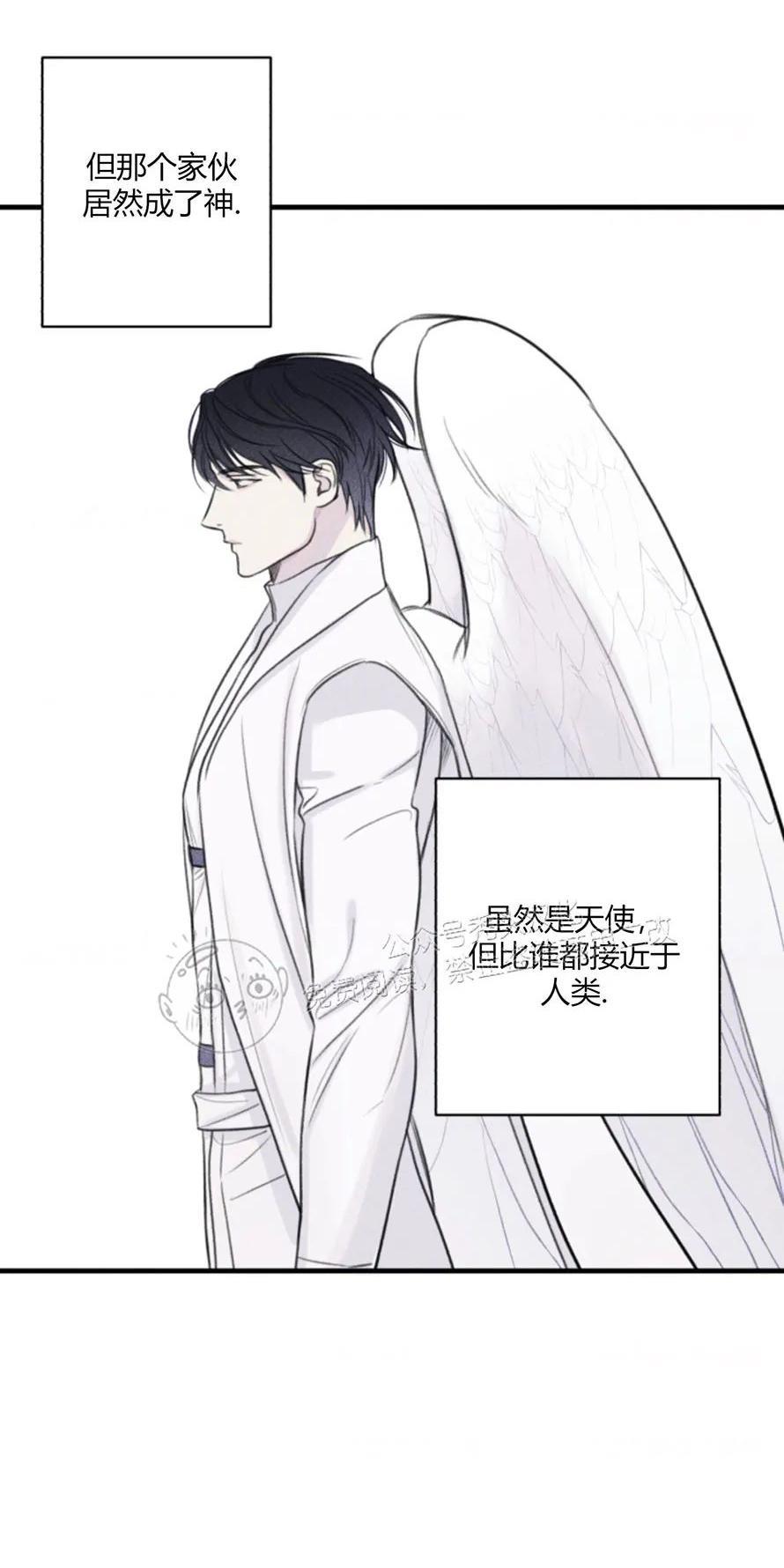 天使密友/天使拍档[耽美]韩漫全集-第79话无删减无遮挡章节图片 